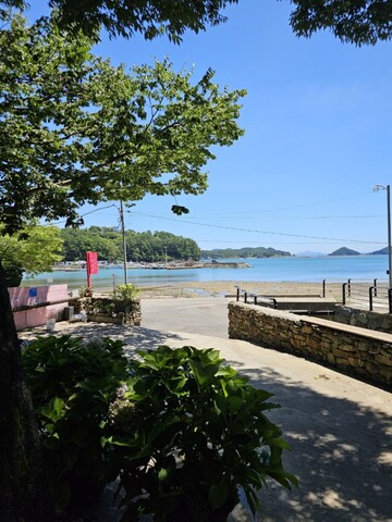 고성 느티나무요정들펜션