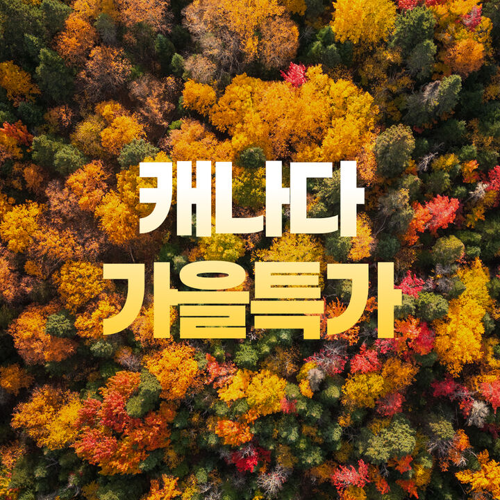 캐나다 얼리버드-i