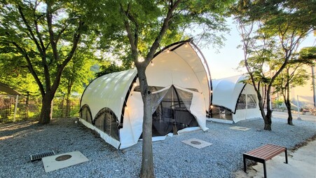 아산 와이제이(YJ)