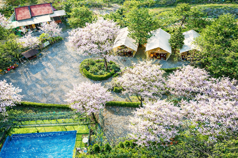 가평 숨쉬는고래글램핑