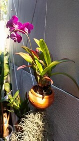 Flow Garden Residence