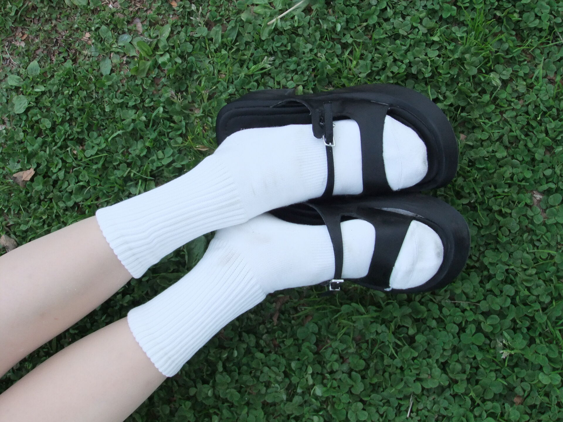 유자