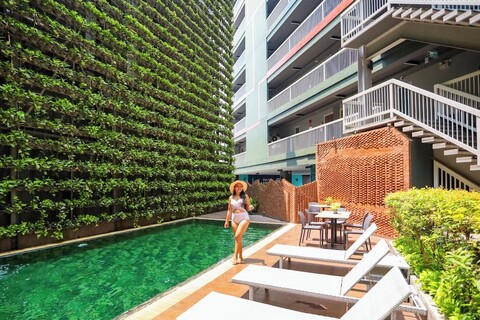 크로스 바이브 치앙마이 디셈