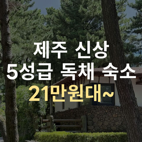 제주 신상 숙소