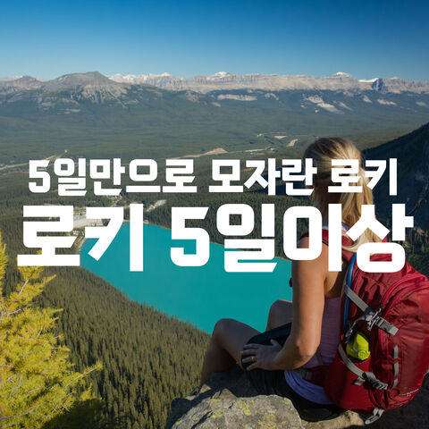 로키 5일 이상