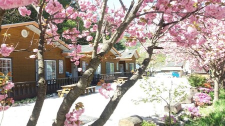 강릉 우진황토펜션