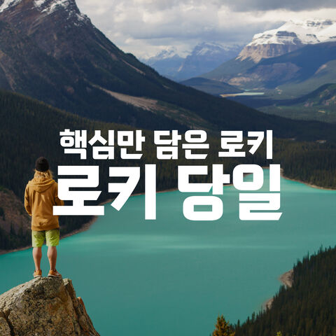 로키 당일