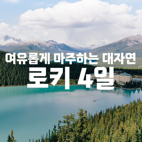 로키 3박4일