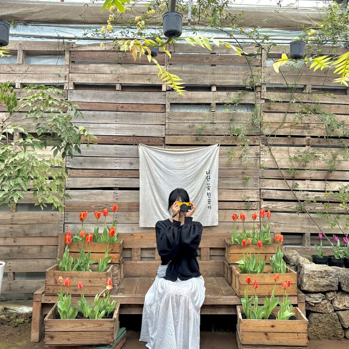 ★여름특가★ 제주 동부 1일 감성 버스투어-i