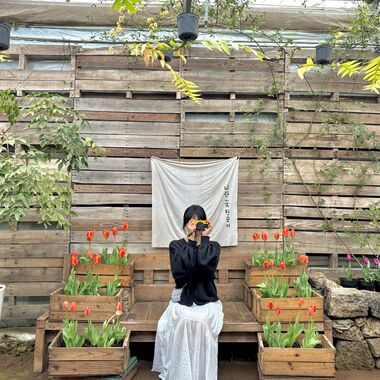 제주 동부 감성 버스투어