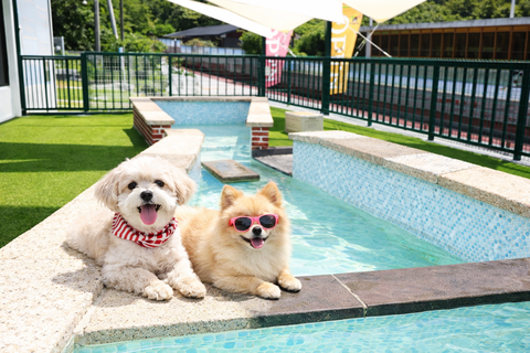 담양 멍스타펜션