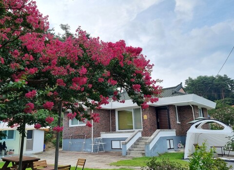 강릉 연곡바우집