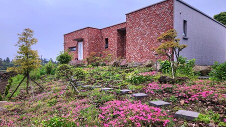 제주 알지니포레스트