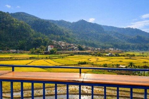 Mùa Vàng Homestay Mù Cang Chải