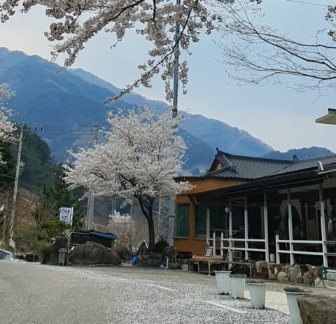 함양 산마을펜션(지리산)