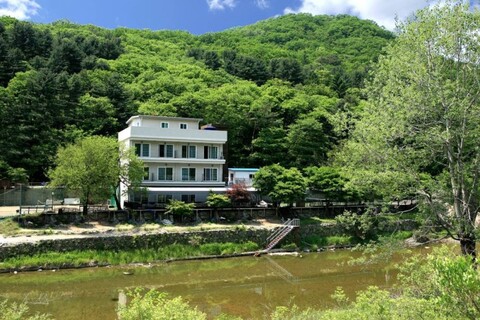 남양주 통아저씨네산그린펜션