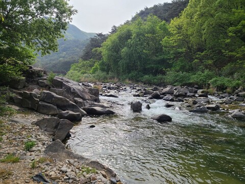 제천 힐링펜션