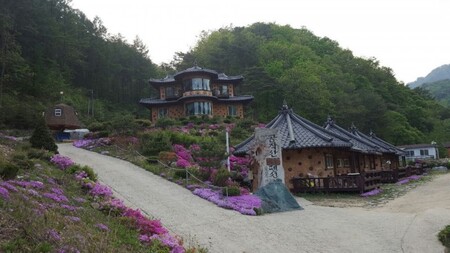홍천 공작산비룡펜션
