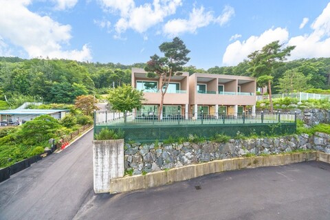 충주 중앙탑펜션