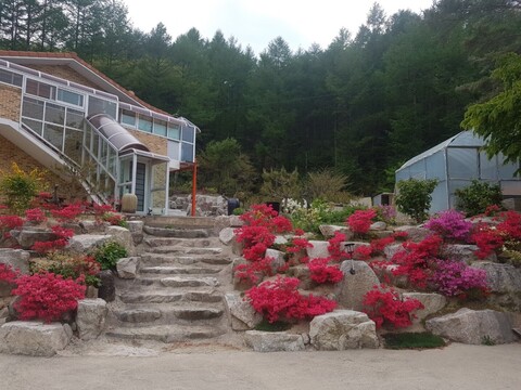 고성 편백하우스