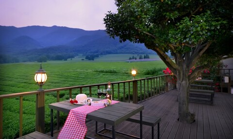 보성 구름속의산책펜션