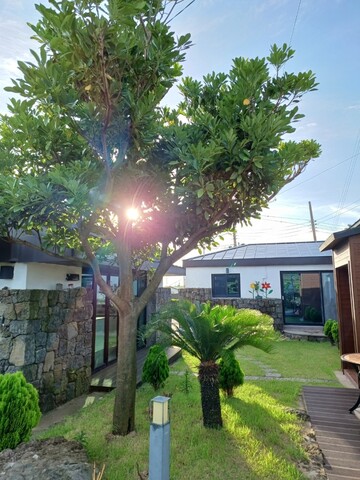 제주 우도섬안의섬펜션