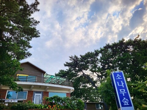 대부도(영흥도) 소나무숲펜션