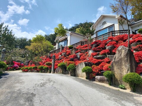 강릉 해뜰날펜션