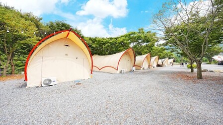 단양 글램핑&펜션