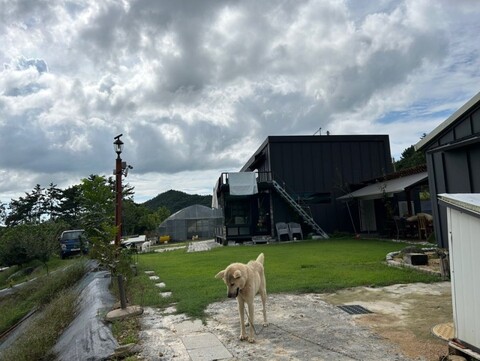 영광 솔안넘어자연속으로