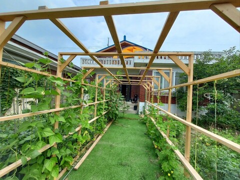 안성 할머니네펜션