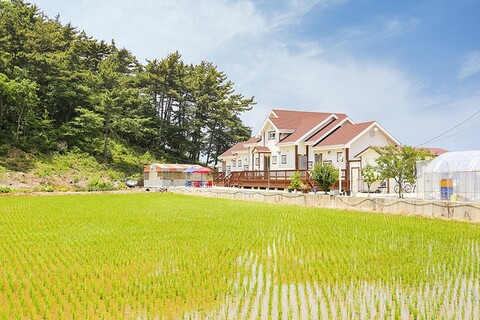 태안(안면도) 뜰안작은성펜션