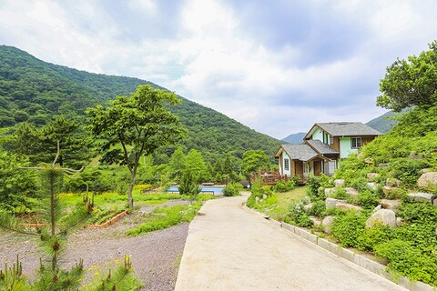 고성 구름위의산책펜션