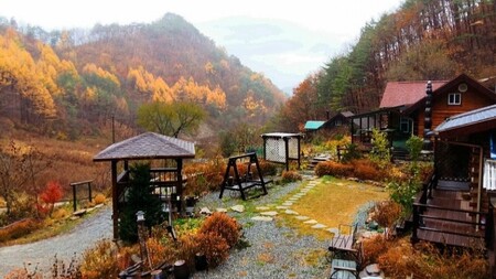 정선 정선통나무펜션