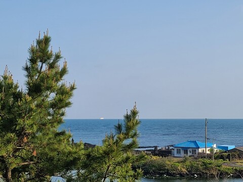 제주 감자네펜션
