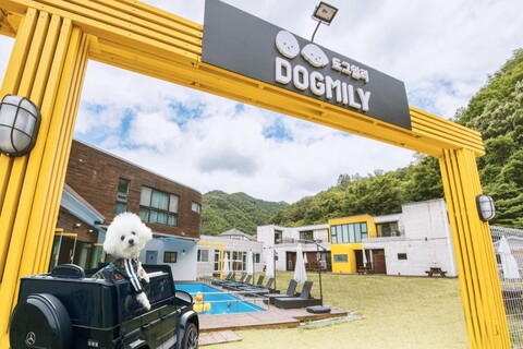 평창 도그밀리 펜션