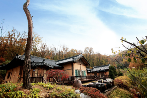 안성 산삼꽃피는마을