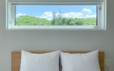 강릉 멍릉도원 애견펜션