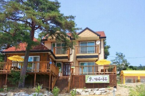강릉 솔앤계수나무펜션