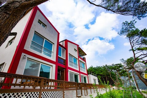 단양 남한강솔밭펜션