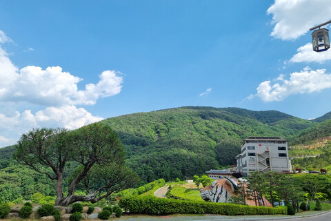 지리산 산청 한방 가족호텔