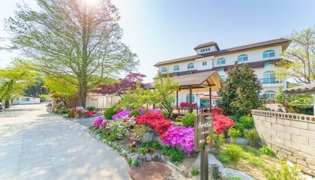 고성 아라솔펜션