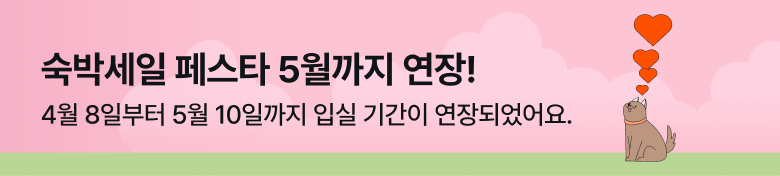 숙소 세일 페스타 공통 안내 배너