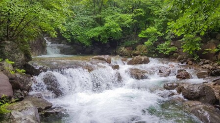 화천 해산관광농원펜션