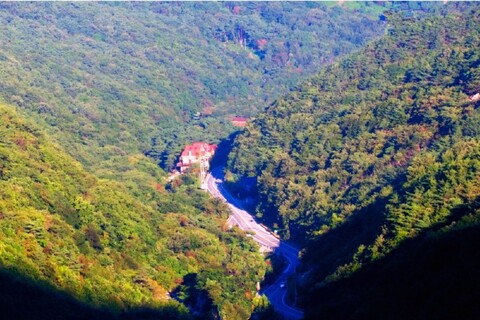 양산(배내골) 솔밭휴양림펜션