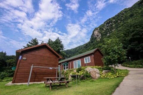 울릉도 산새소리펜션