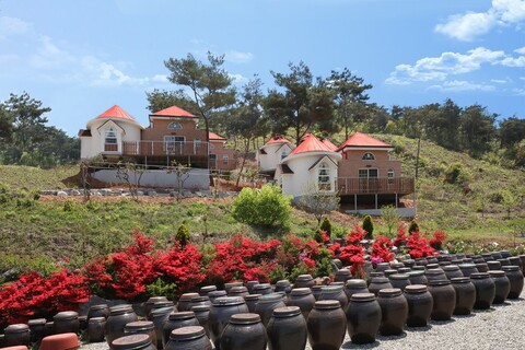 보령(천북) 하늘관광농원펜션