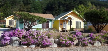 강릉 장천마을펜션