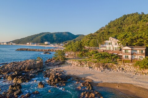 영덕 바닷가솔밭펜션