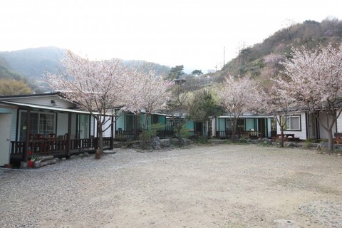 성주 그린나래펜션